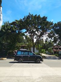 Car on street against trees in city