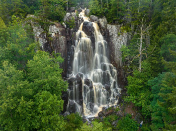 Low angle view of waterfall in forest