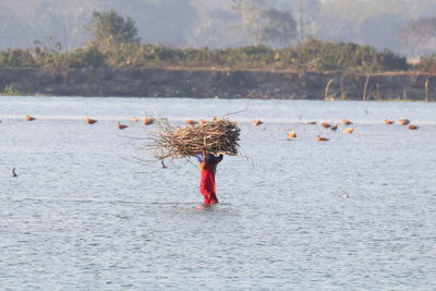 Woman carrying stick on head while walking in river