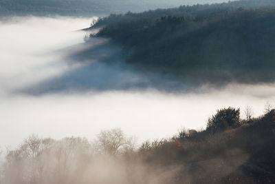 mist