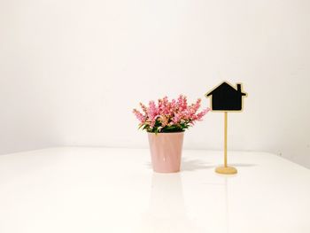 Close-up of flower on table