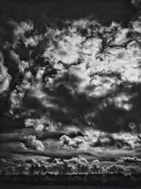 Low angle view of trees against sky