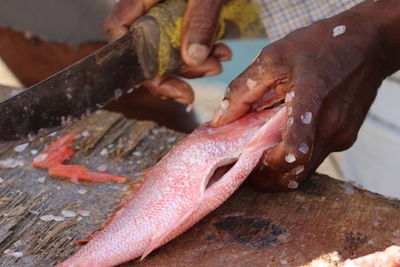 Close-up of man preparing food