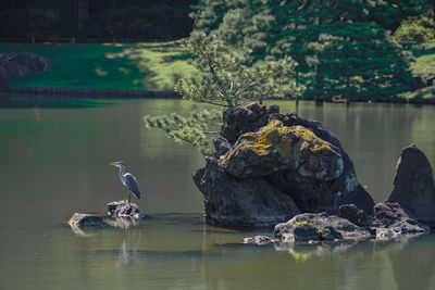 Scenic view of lake