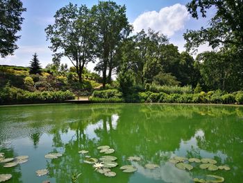 Scenic view of lake by trees against sky