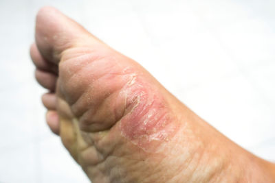 Close-up of human hand against white background