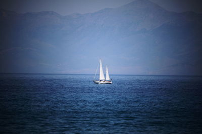 Sailboat sailing on sea against sky