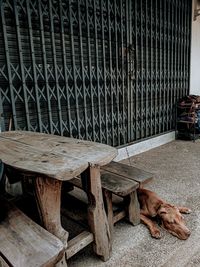 View of a dog sitting on chair