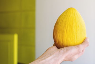 Close-up of hand holding yellow leaf