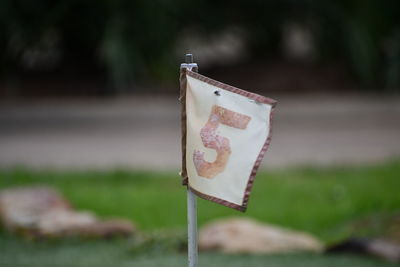 Golf putting green flag