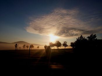 Silhouette trees on landscape against sky during sunset