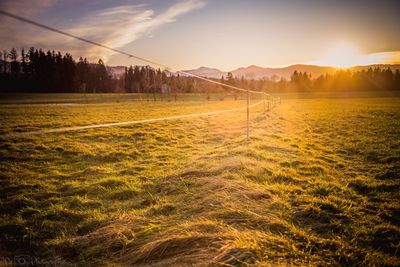 Scenic view of landscape against sky during sunset