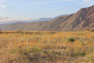 Scenic view of mountains against sky