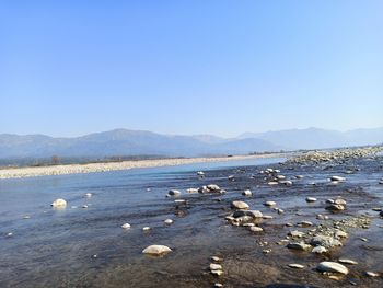 Scenic view of sea against clear blue sky