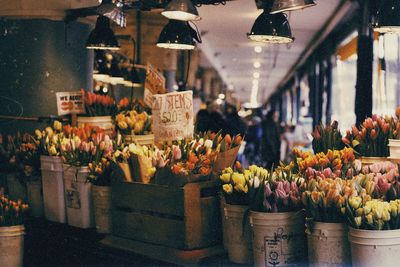 Flowers for sale at market stall