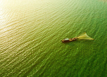 High angle view of leaf in lake