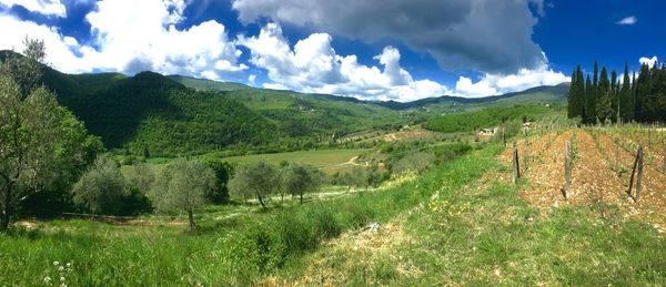 Scenic view of grassy field against cloudy sky