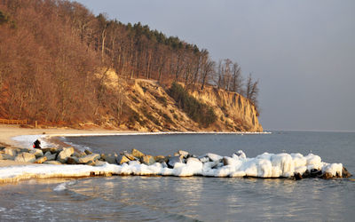 Flock of birds in lake