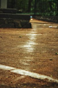 Close-up of shadow on ground