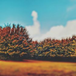 Scenic view of trees against sky during autumn