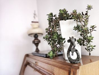 Close-up of potted plant on table at home