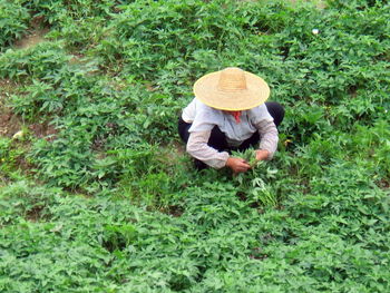 People on grassy field