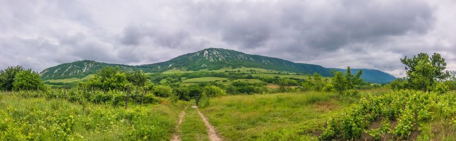 Scenic view of grassy field against cloudy sky