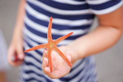 Midsection of woman holding star fish