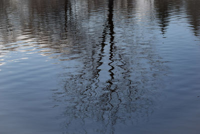 Reflection of tree in lake