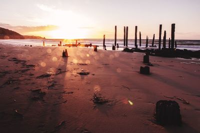 Wooden posts at beach against sky during sunset