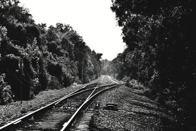 Railroad tracks amidst trees against clear sky