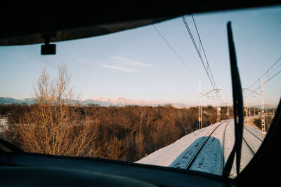 Scenic view of trees seen through car window