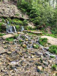 View of stream flowing through rocks in forest