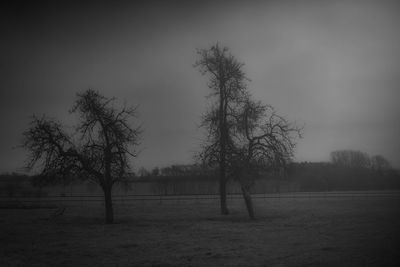 Trees on field against sky
