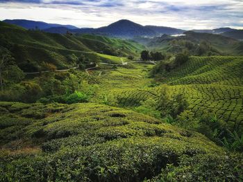 Scenic view of landscape against sky