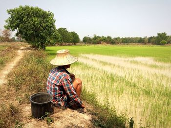 Rear view of woman sitting on rice paddy against sky