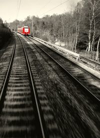 Railroad track passing through trees