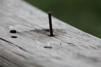 Close-up of wooden table