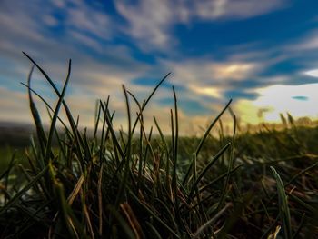 Scenic view of field against sky at sunset