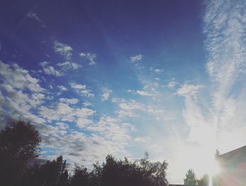 Low angle view of trees against sky