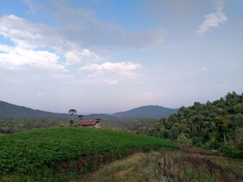 Scenic view of field against sky