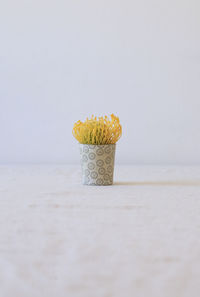 Close-up of yellow lemon on table against white background