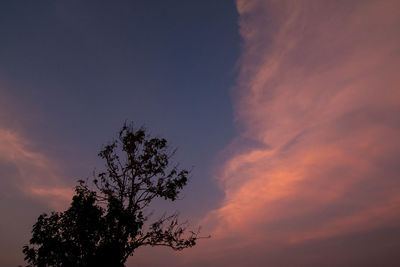 Low angle view of silhouette tree against sky during sunset