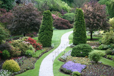 Pathway along plants in the park