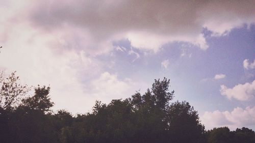 Low angle view of trees against cloudy sky