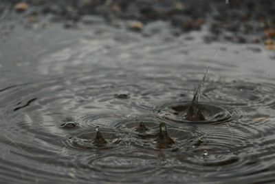 Close-up of rippled water