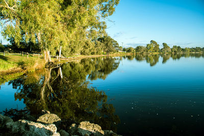 Scenic view of lake in forest against clear sky