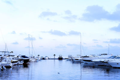 Sailboats in marina