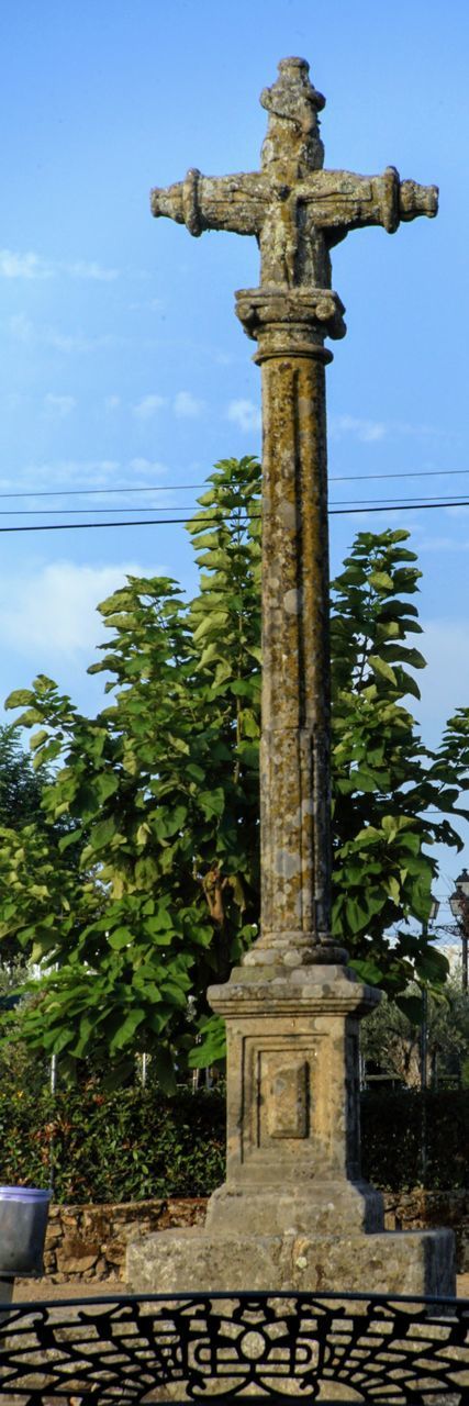 LOW ANGLE VIEW OF CROSS ON TREE AGAINST SKY