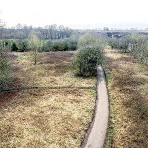 Scenic view of field against clear sky